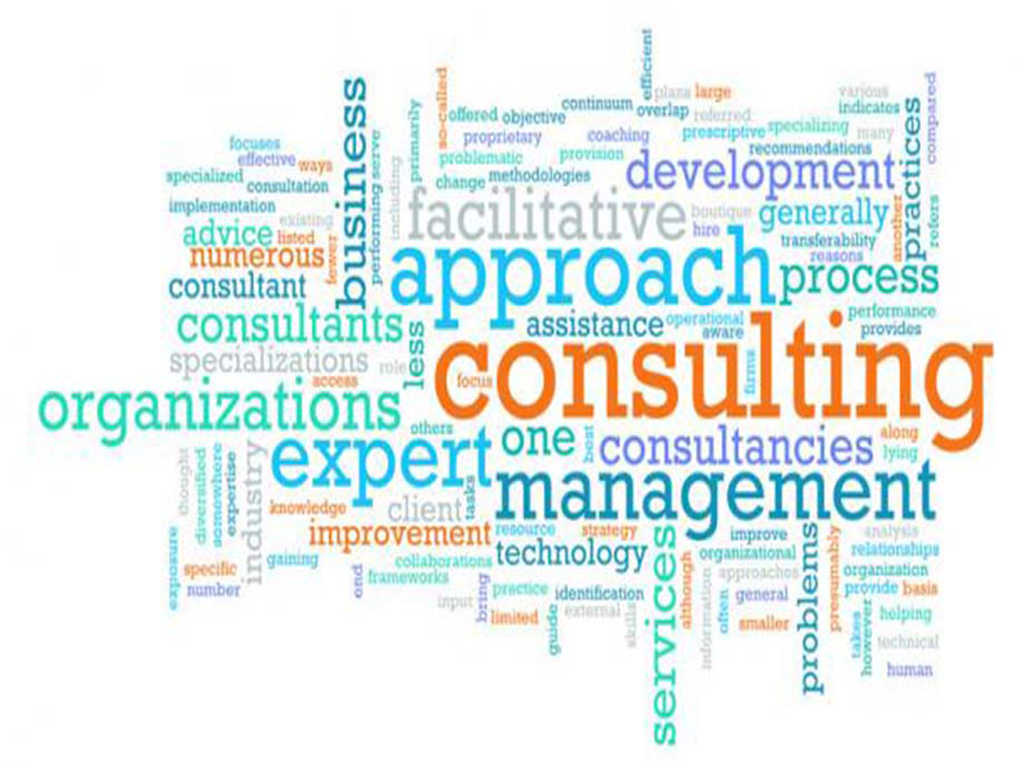 Business Development Consultants